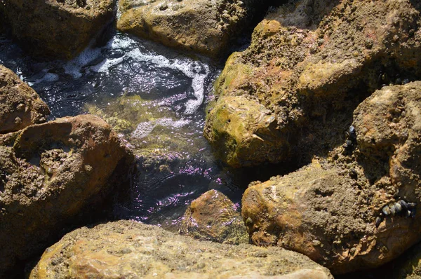 Doğal taş gri renk dokulu arka plan