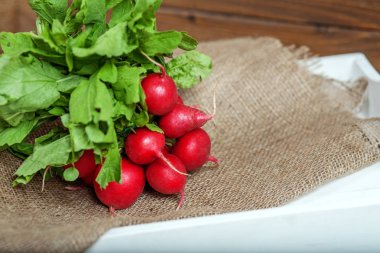 Yararlı lezzetli turp. Sağlıklı beslenme ve vejetaryenlik kavramı.