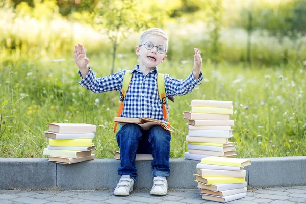 Um rapazinho fala em aprender. De volta à escola. O conceito de aprendizagem, escola, mente, estilo de vida — Fotografia de Stock