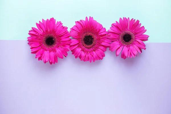 Fondo con flores rosas. Horizontal. Estilo mínimo, plano laico . — Foto de Stock