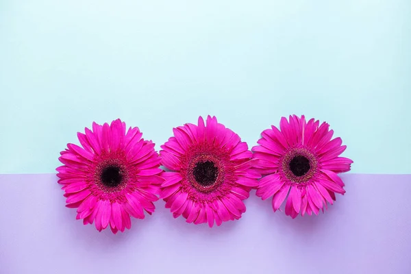 Estilo mínimo, cama plana. Fondo con flores rosas. Horizontal. Copiar espacio . — Foto de Stock