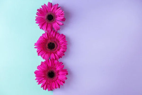 Fondo con flores rosas. Horizontal. Estilo mínimo, plano laico . — Foto de Stock