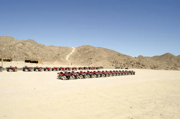 tourists on Quad bikes in the desert