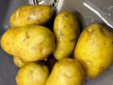 Ukrayna 'nın büyük patatesleri mutfak lavabosunda yatıyor, sebzeler, yemekler...