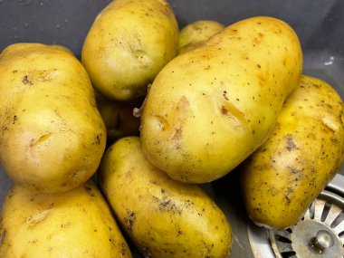 Ukrayna 'nın büyük patatesleri mutfak lavabosunda yatıyor, sebzeler, yemekler...