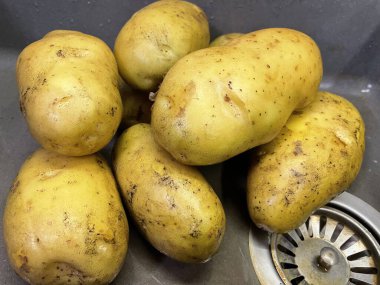 Ukrayna 'nın büyük patatesleri mutfak lavabosunda yatıyor, sebzeler, yemekler...