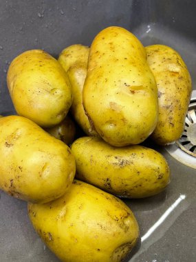 Ukrayna 'nın büyük patatesleri mutfak lavabosunda yatıyor, sebzeler, yemekler...