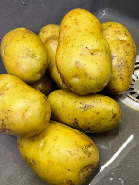 Ukrayna 'nın büyük patatesleri mutfak lavabosunda yatıyor, sebzeler, yemekler...