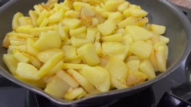 Tavada yağda kızartılmış taze organik Ukrayna patatesleri, sebzeler, lezzetli, mutfak, yemek pişirme.