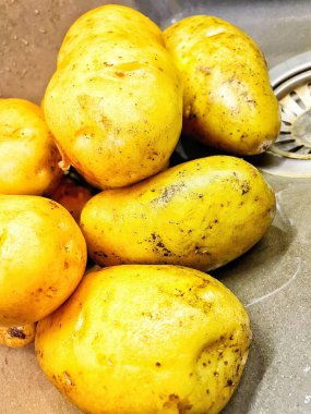 Ukrayna 'nın büyük patatesleri mutfak lavabosunda yatıyor, sebzeler, yemekler...