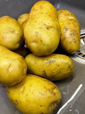 Ukrayna 'nın büyük patatesleri mutfak lavabosunda yatıyor, sebzeler, yemekler...