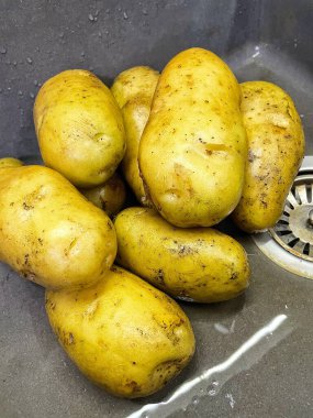 Ukrayna 'da büyük patatesler mutfak lavabosunda, sebzeler, yemek, yemek, açlık, doyum