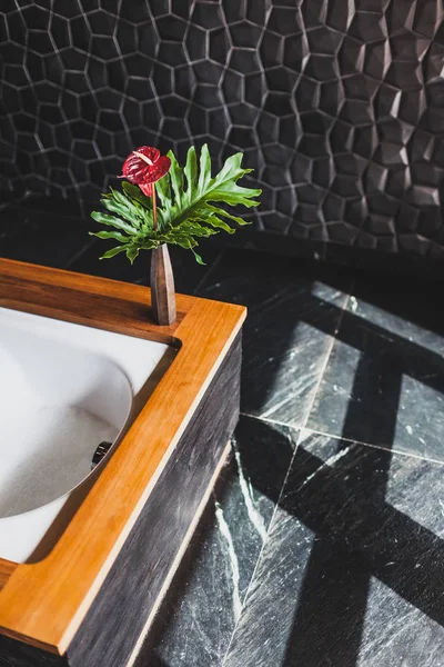 Diseño Moderno Baño Con Azulejo Negro Texturizado Paredes Borde Madera — Foto de Stock