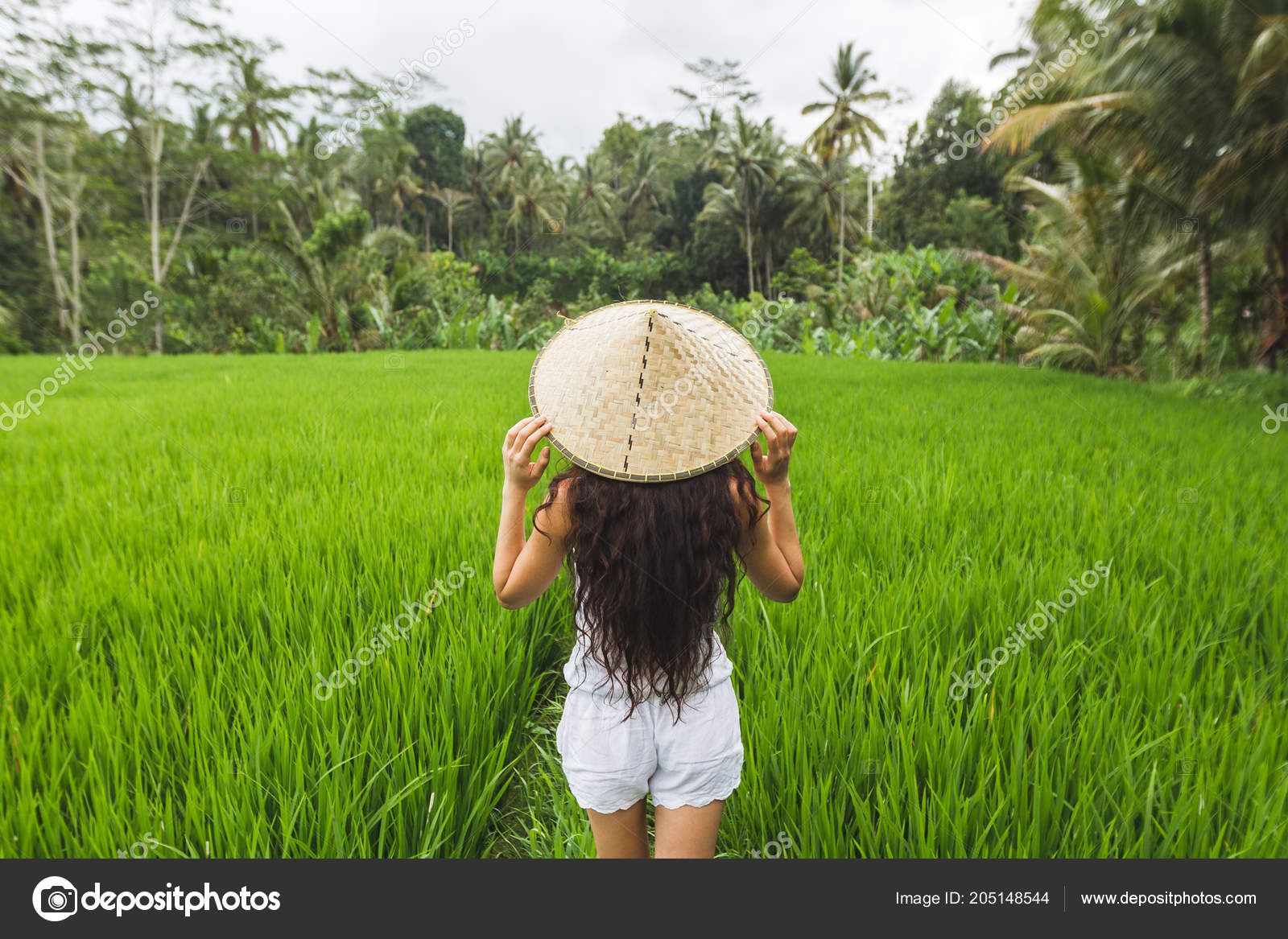 rice field hat