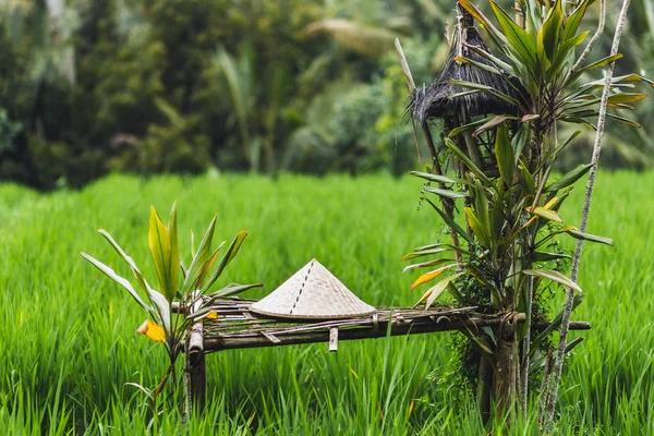 Balinese Traditional Straw Hat Bench Rice Field — Stock Photo, Image