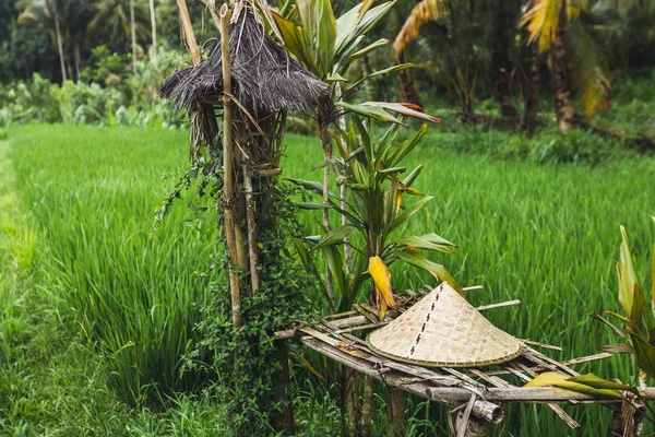 巴厘传统稻草帽在稻田中的长凳上 — 图库照片
