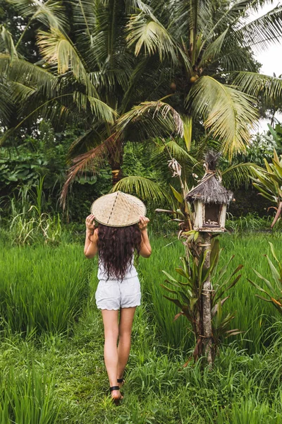 Visão Traseira Mulher Morena Andando Campos Arroz Com Chapéu Palha — Fotografia de Stock