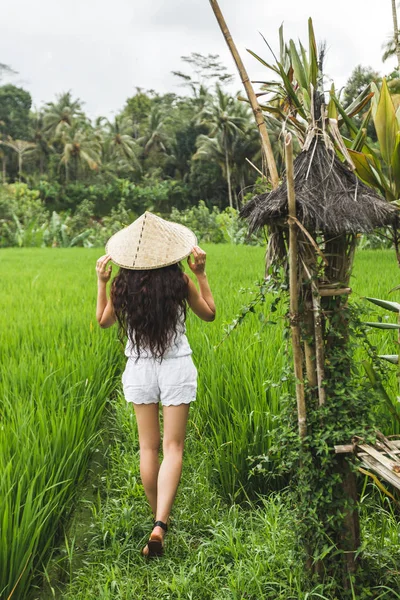 Visão Traseira Mulher Morena Andando Campos Arroz Com Chapéu Palha — Fotografia de Stock