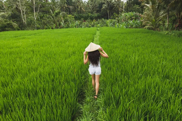 Visão Traseira Mulher Europeia Morena Andando Campos Arroz Com Chapéu — Fotografia de Stock