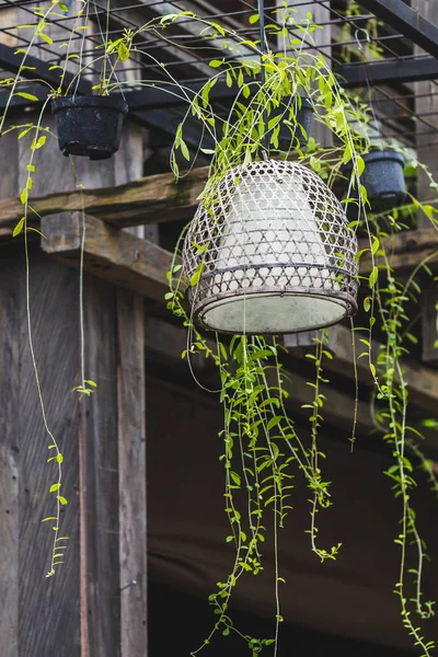 Oude Handgemaakte Rieten Lamp Opknoping Buiten — Stockfoto