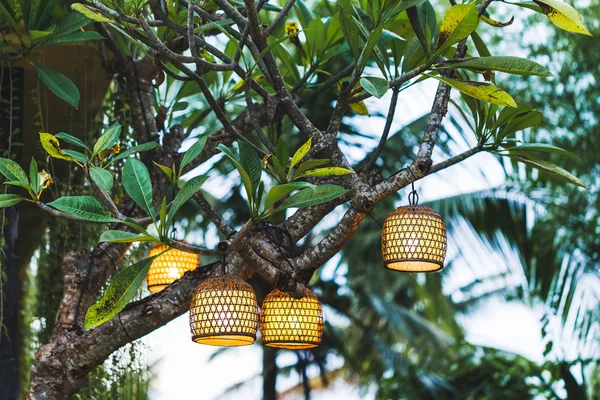 Fechar Vista Hahd Fez Lâmpadas Vime Penduradas Fora Jardim Árvore — Fotografia de Stock