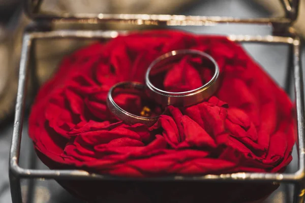 Ringe Auf Rosenblättern Handgeschmiedetem Geschmiedetem Metall Und Transparenter Glasbox — Stockfoto