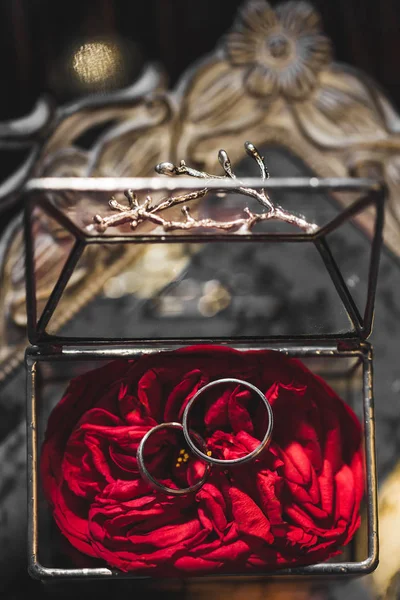 Кольца Лепестках Роз Внутри Прозрачной Коробки Металла Стекла Ручной Работы — стоковое фото