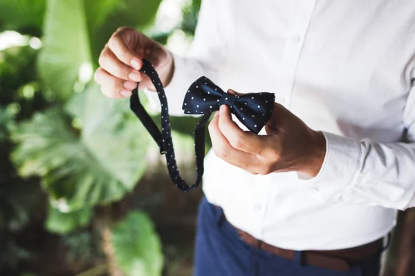 Man White Shirt Holding Bow Tie Hands Concept Getting Ready — Stock Photo, Image