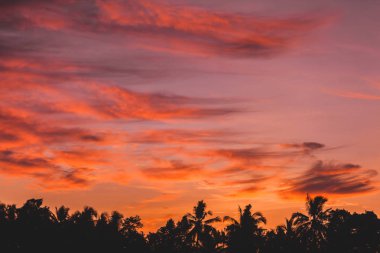Şaşırtıcı kırmızı günbatımı gökyüzü turuncu bulutların üzerinde Bali palmiye ağaçları ile