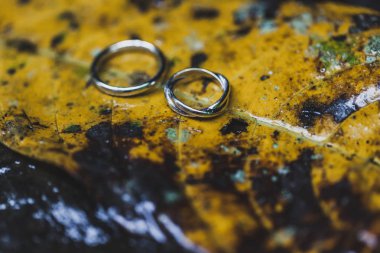 Alyans yakın çekim ıslak sarı sonbahar yaprak doku