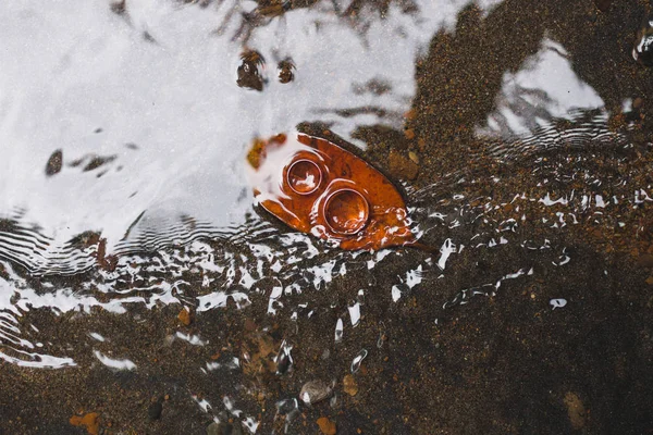 Anelli Nuziali Sulla Superficie Dell Acqua — Foto Stock