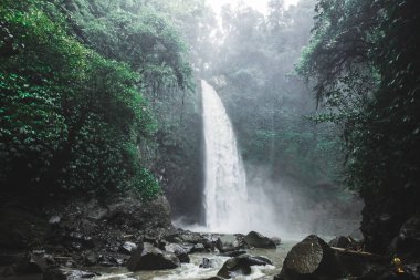 Bali şelale Nung-Nung derin ormanlarda