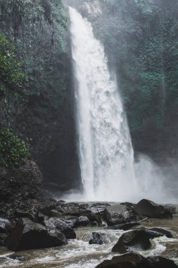 Bali waterfall Nung-Nung in deep jungles clipart