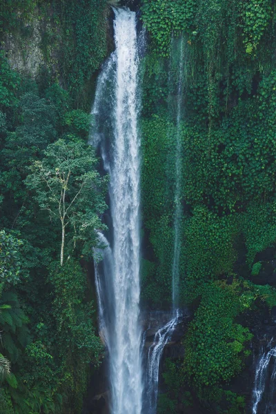 Sekumpul Bali Waterfalls Daytime — Stock Photo, Image