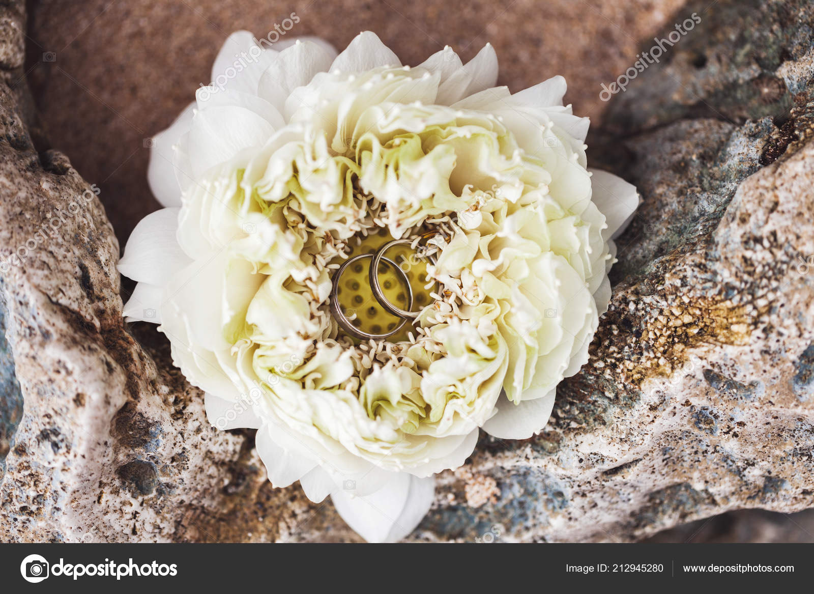 Anneaux Mariage Intérieur Fleur Lotus Blanc Gros