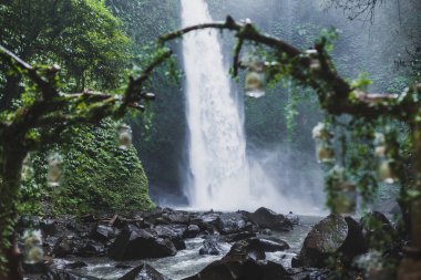 Tropik Düğün töreni orman kanyonunda waterfall manzaralı