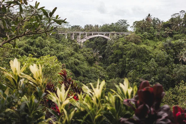 Scenic View Old Suspension Bridge Jungle Bali — Stock Photo, Image