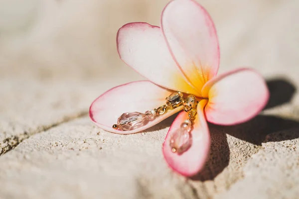 Brincos Com Jóias Flor Frangipani Rosa Sobre Fundo Pedra Branca — Fotografia de Stock