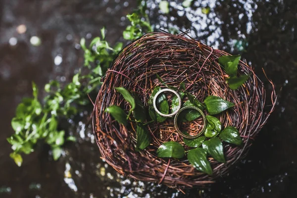 Two Wedding Rings Handmade Wicker Nest Wedding Ceremony — Stock Photo, Image