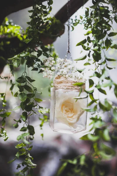 婚礼装饰与玫瑰内的玻璃瓶挂在树枝上常春藤 — 图库照片