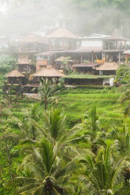 Tegalalang Ceking rice terraces in Ubud, Bali clipart