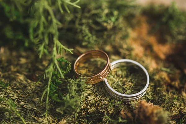 Dois Anéis Casamento Dourados Musgo — Fotografia de Stock