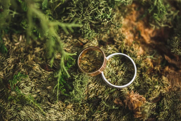 Dois Anéis Casamento Dourados Musgo — Fotografia de Stock