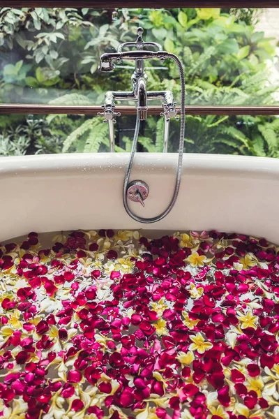 Tubo de baño con flores tropicales, spa, relajación, cuidado corporal, el — Foto de Stock