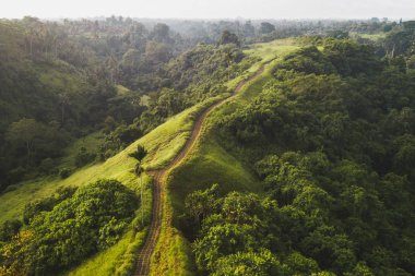 Campuhan Ridge Walk havadan görünümü, Ubud B Scenic Green Hill