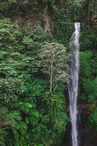 Aerial view of famous Sekumpul waterfalls in Bali, Indonesia. Tr — Stock Photo, Image