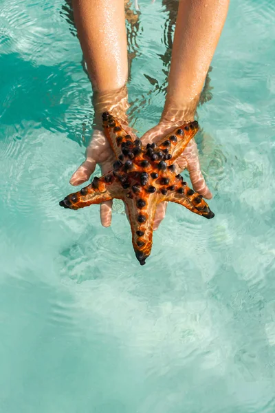 Bintang laut merah indah di tangan wanita. Konsep perjalanan. pla kosong — Stok Foto