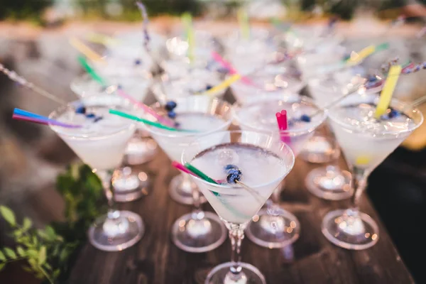 Набір коктейлів Martini з льодом і чорницею зверху на барі co — стокове фото
