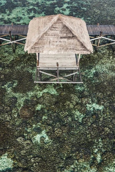 Over-reef hammock on wooden pier with amazing view of coral reef