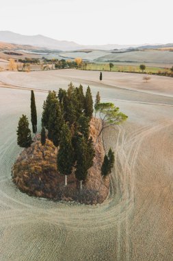 Cipressi di San Quirico d'Orcia ünlü Toskana görünümü. Sonbahar bir